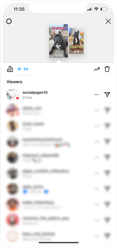 Instagram - Private Story Likes
